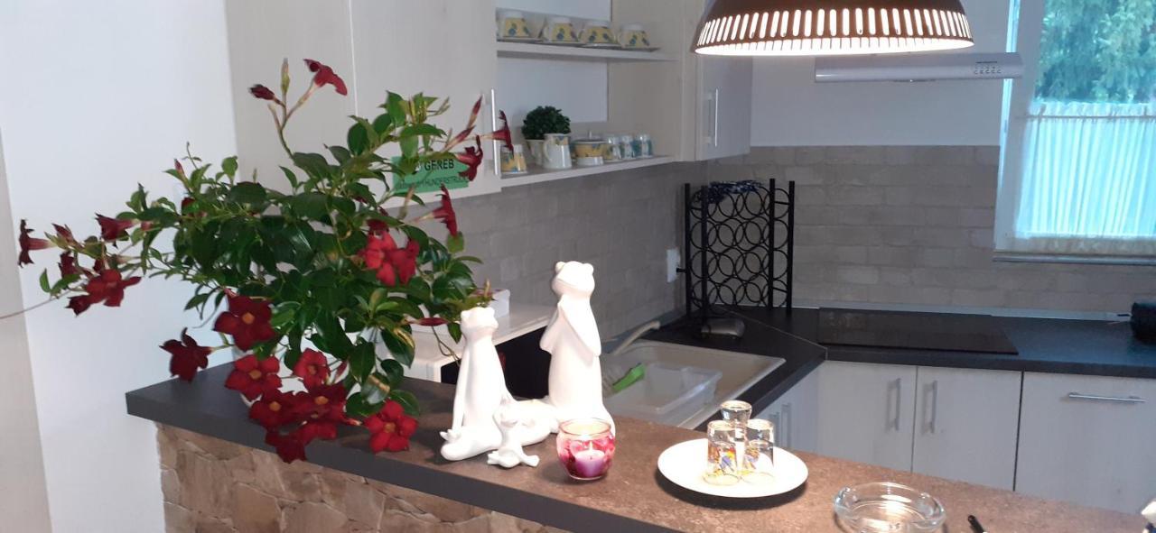 סובאטה Raza Soarelui Apartament De Lux מראה חיצוני תמונה