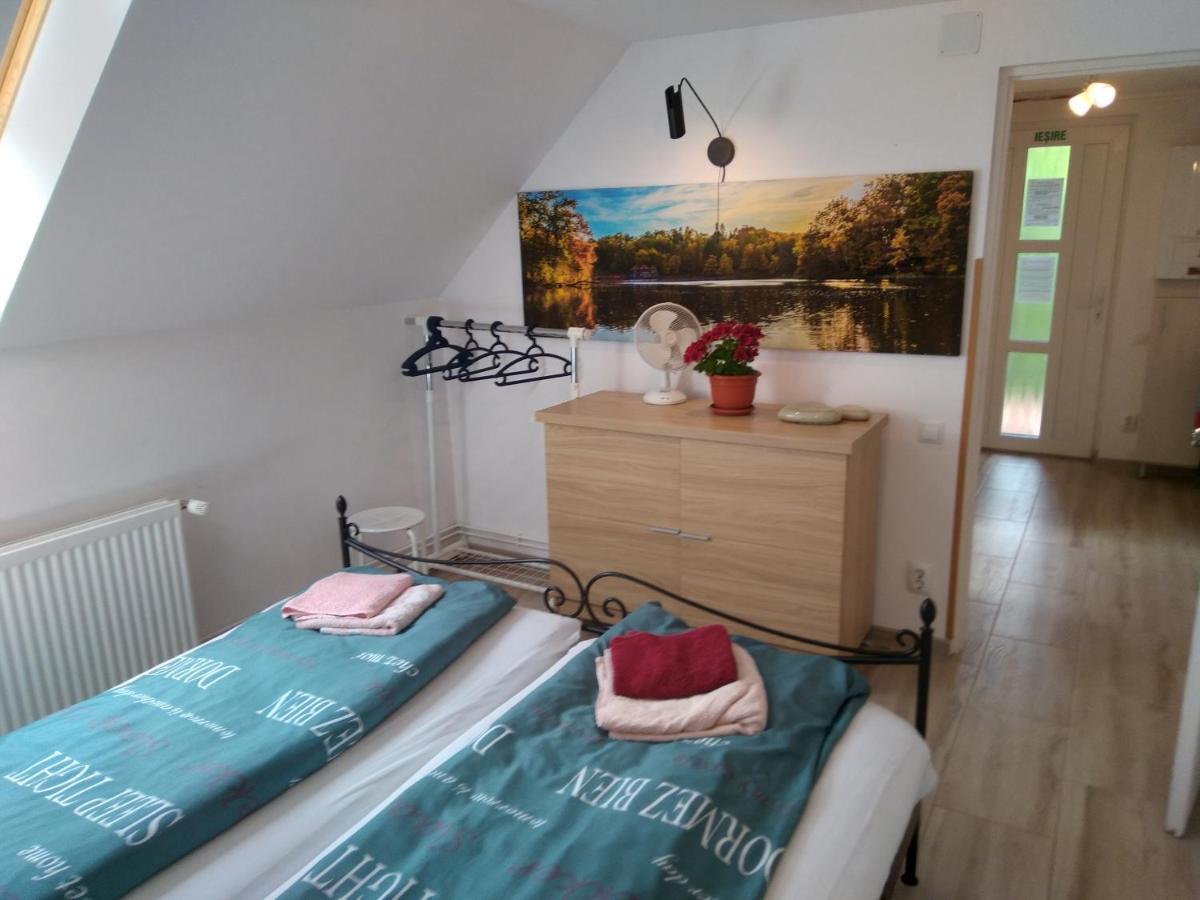 סובאטה Raza Soarelui Apartament De Lux מראה חיצוני תמונה