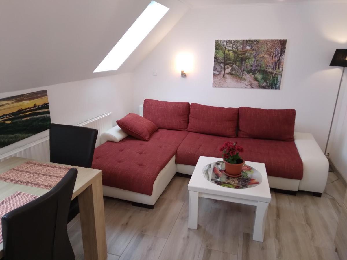 סובאטה Raza Soarelui Apartament De Lux מראה חיצוני תמונה