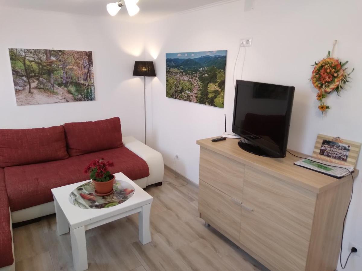 סובאטה Raza Soarelui Apartament De Lux מראה חיצוני תמונה